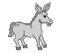 gif animation little dancing donkey