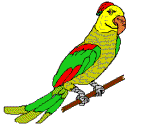 gif animation parrot