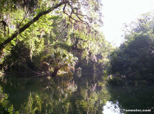 photo of Hillsborough River / Tanwater.com