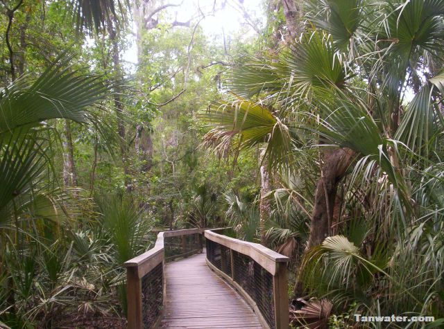 photo Hillsborough River State Park nature walkway / Tanwater.com