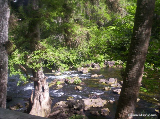 photo upper Hillsborough River rapids / Tanwater.com