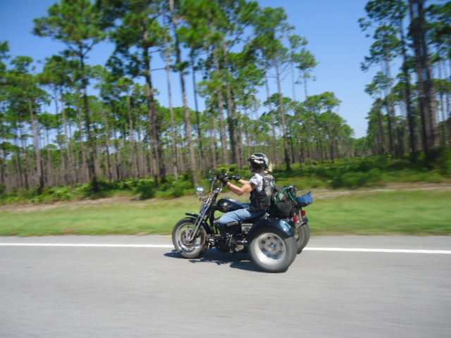 MexB%20062.JPG