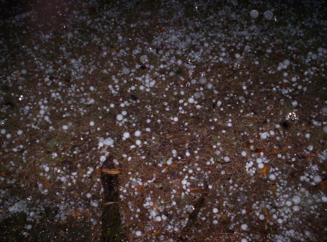 hail-008.jpg