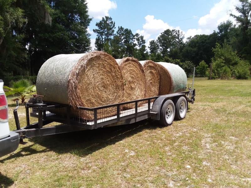 hay-2019-04.jpg