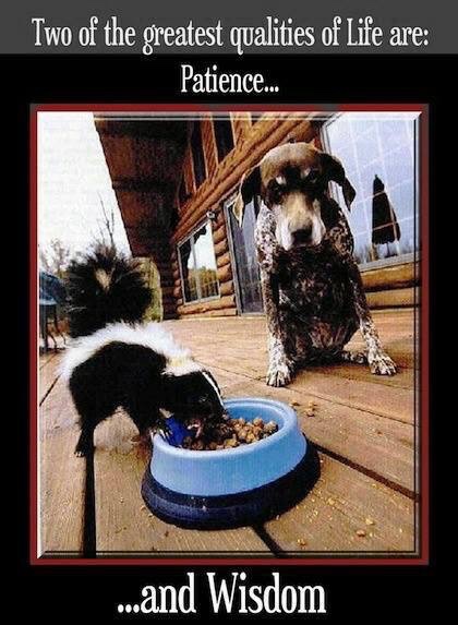patience+wisdom.jpg
