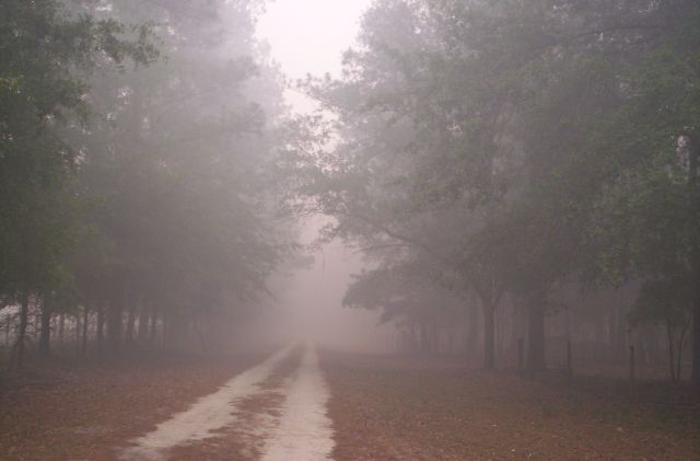smoky%20014.jpg