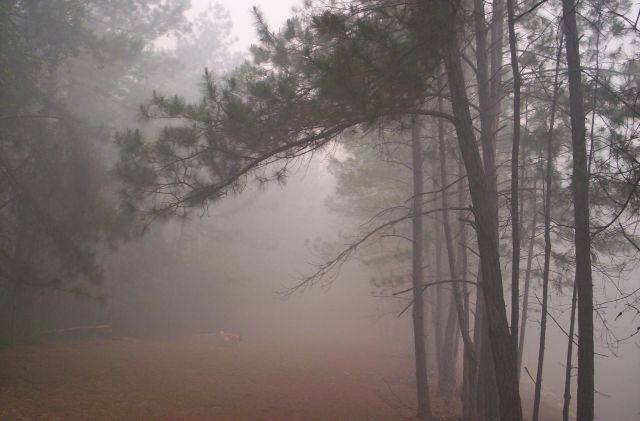 smoky%20017.jpg