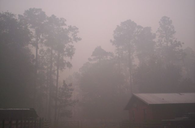 smoky%20020.jpg