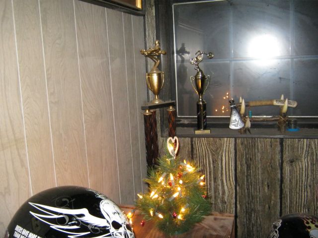 tree2010%20002.jpg