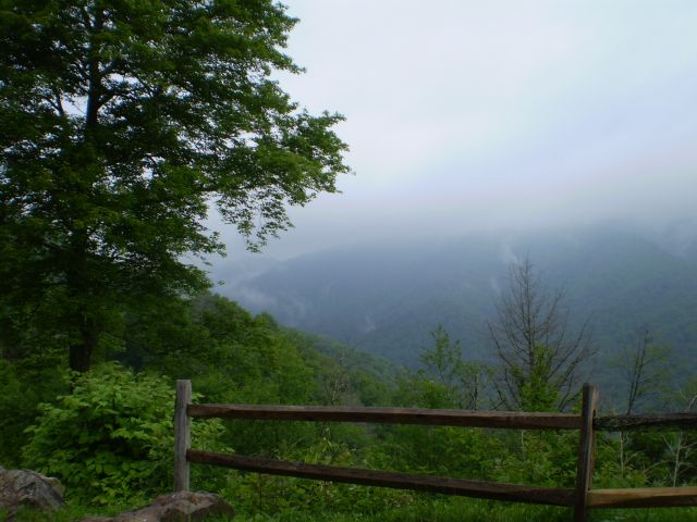trip-2009%20042.jpg