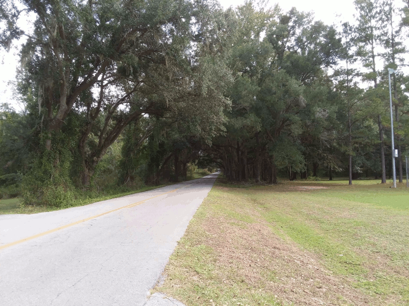 two-lane-blacktop-02-06.gif