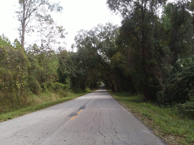 two-lane-blacktop-02-07.gif