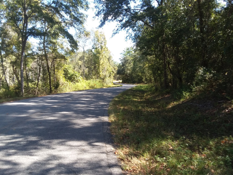 two-lane-blacktop-2.jpg